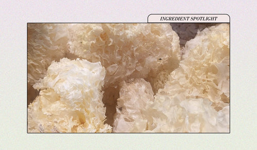Snow Mushroom Extract—a skincare ingredient for hydrated, bouncy skin